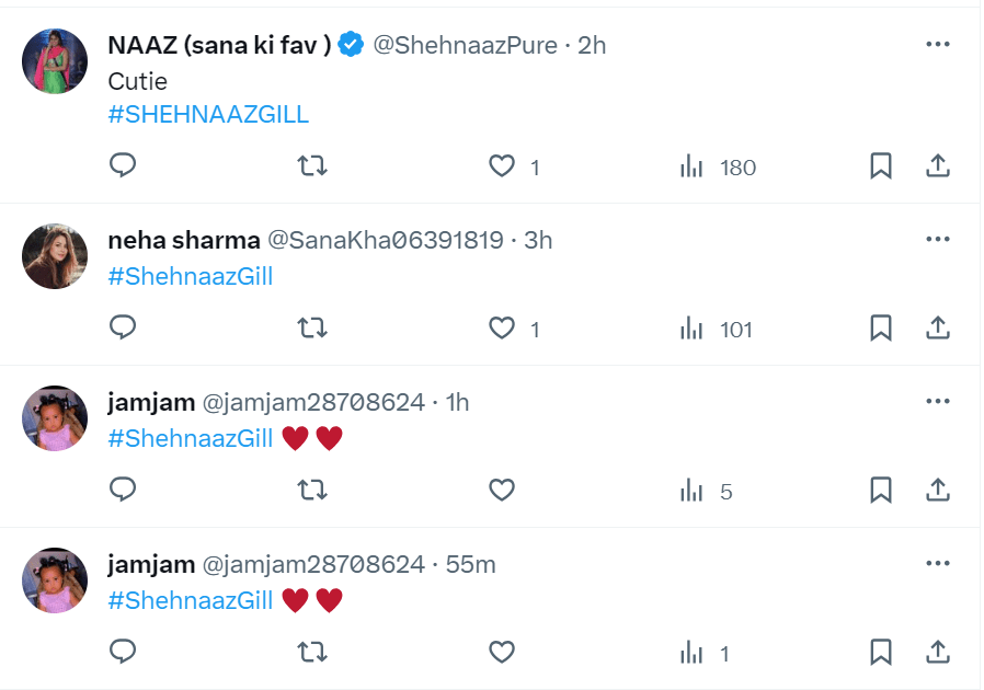 shehnaaz comment